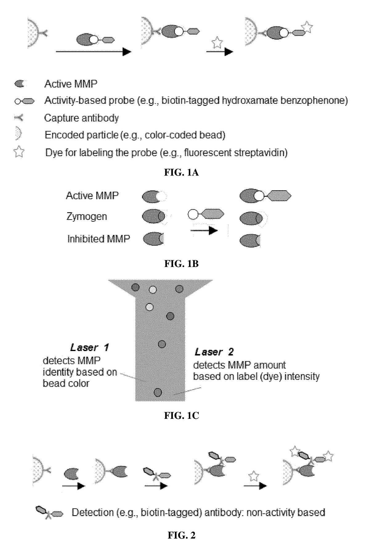 Compositions and multiplex assays for characterizing active proteases and their inhibitors