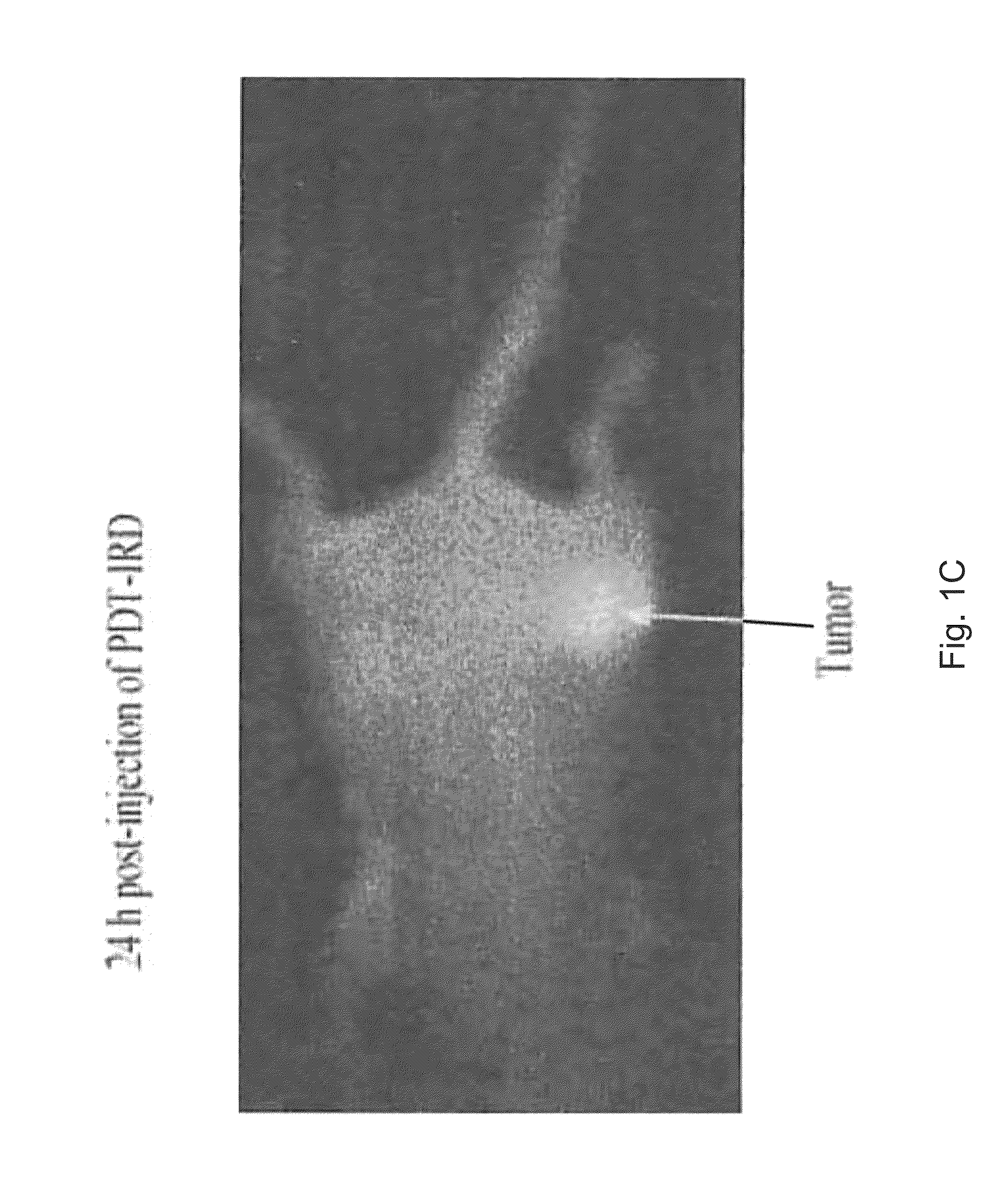 PAA nanoplatforms containing fluorophores and targeted moieties covalently linked and photosensitizer post-loaded