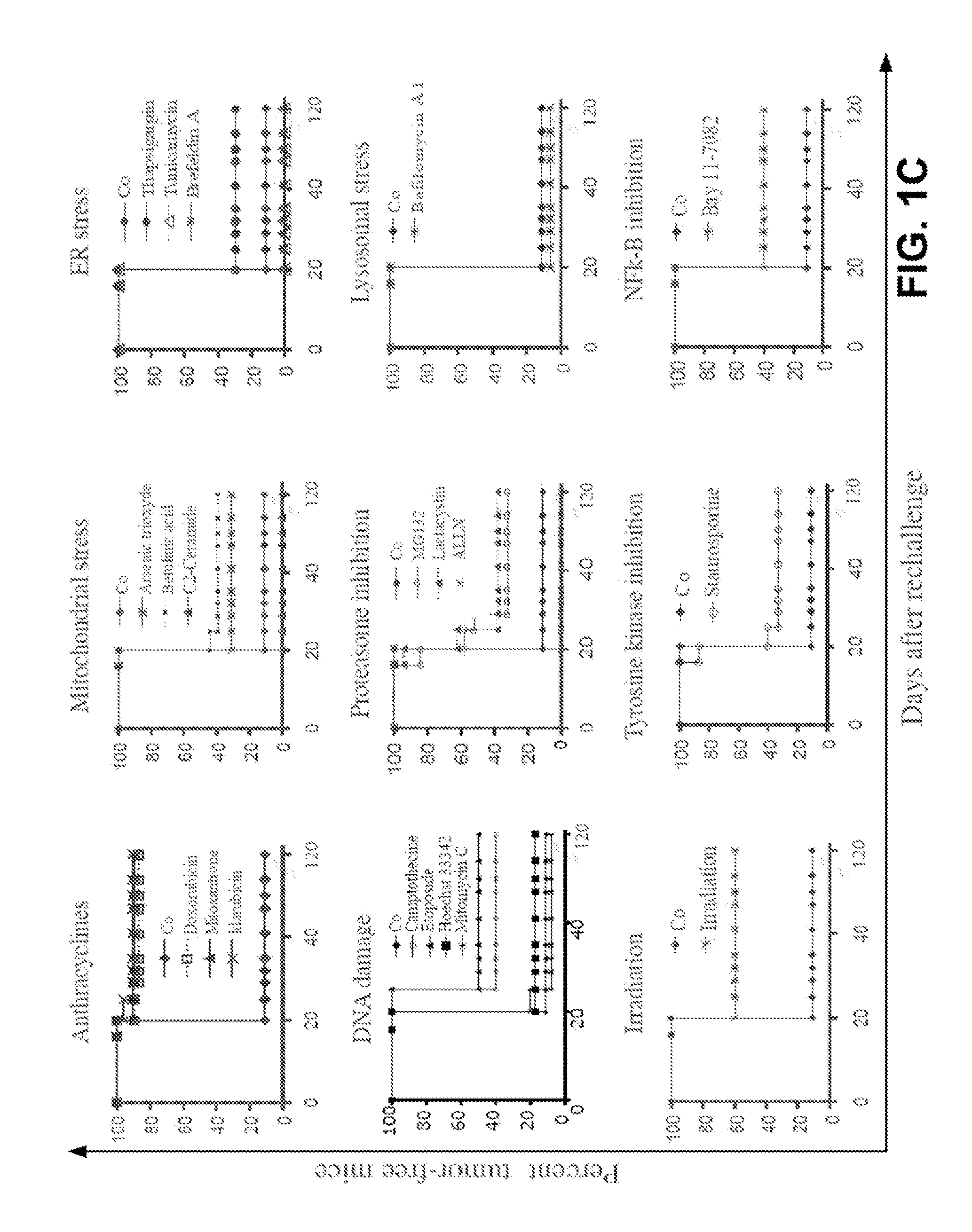 Method for effecting localized, non-systemic and systemic, immunogenic treatment of cancer using CRT translocation