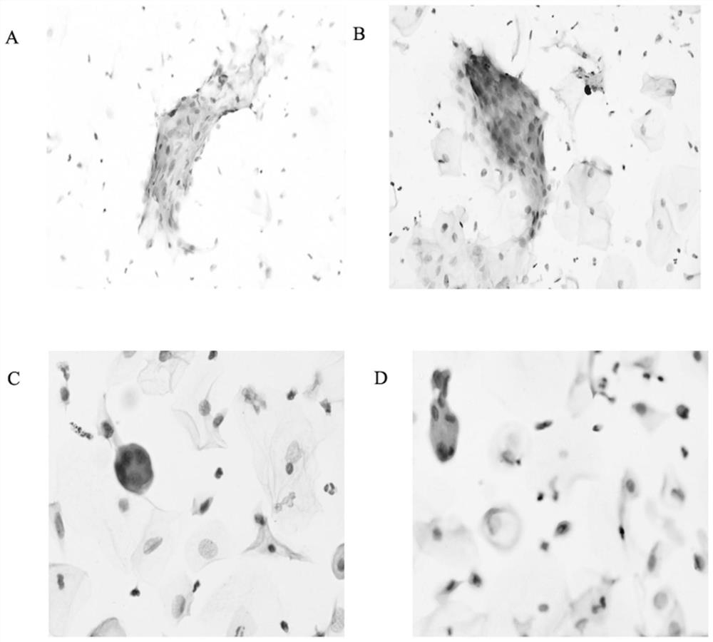 A kind of cell preservation liquid and its preparation method and application