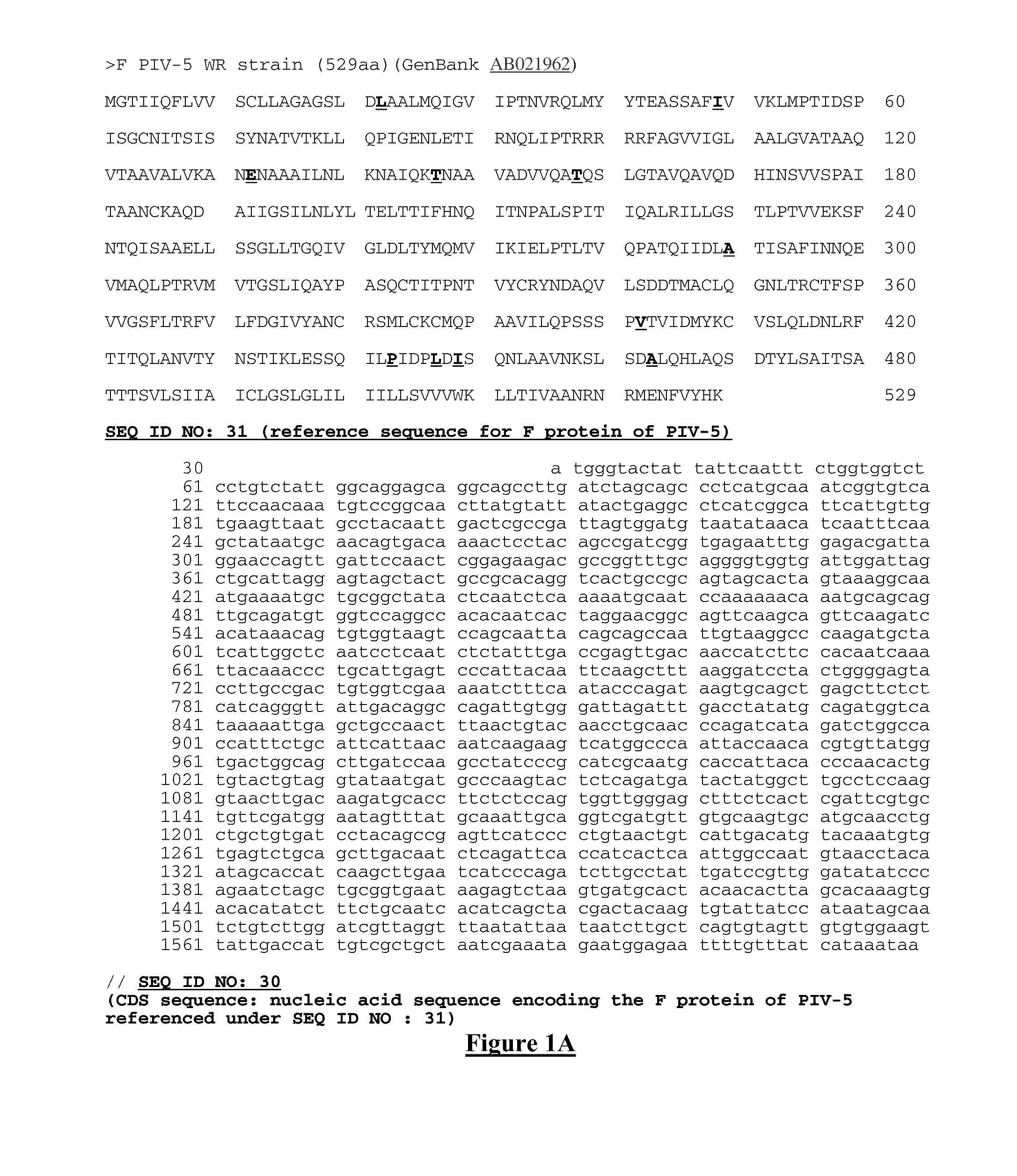 Mutant proteins of the f protein of piv-5 and piv-2