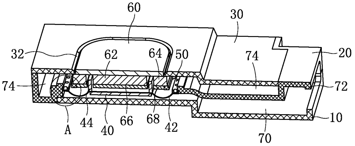 speaker module