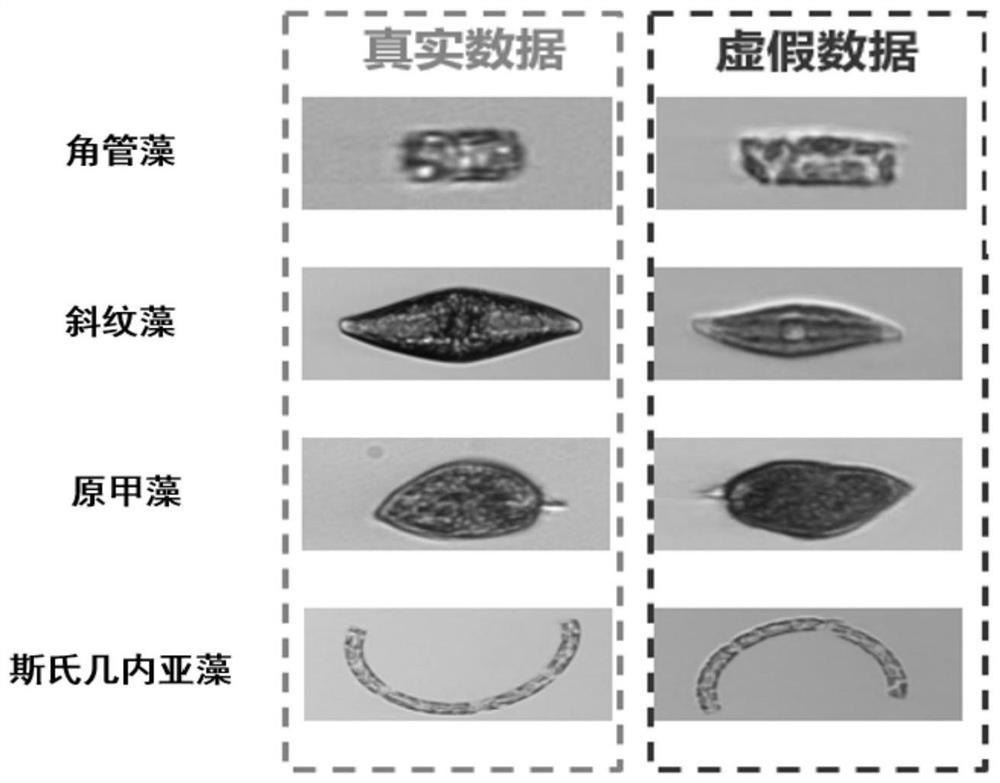 Plankton detection method under unbalanced population distribution condition