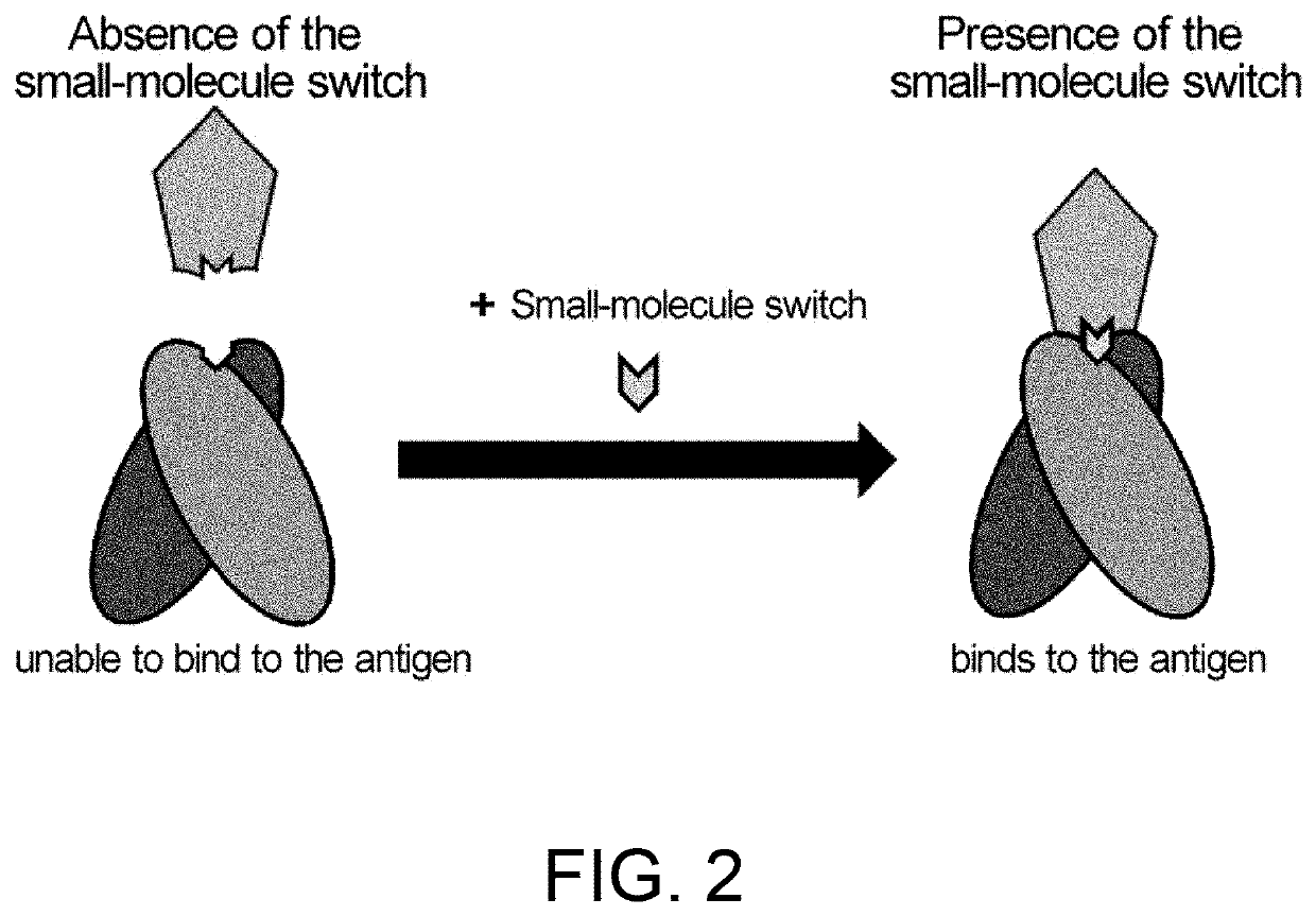 Antigen-binding molecules, the antigen-binding activity of which varies according to the concentration of compounds, and libraries of said molecules