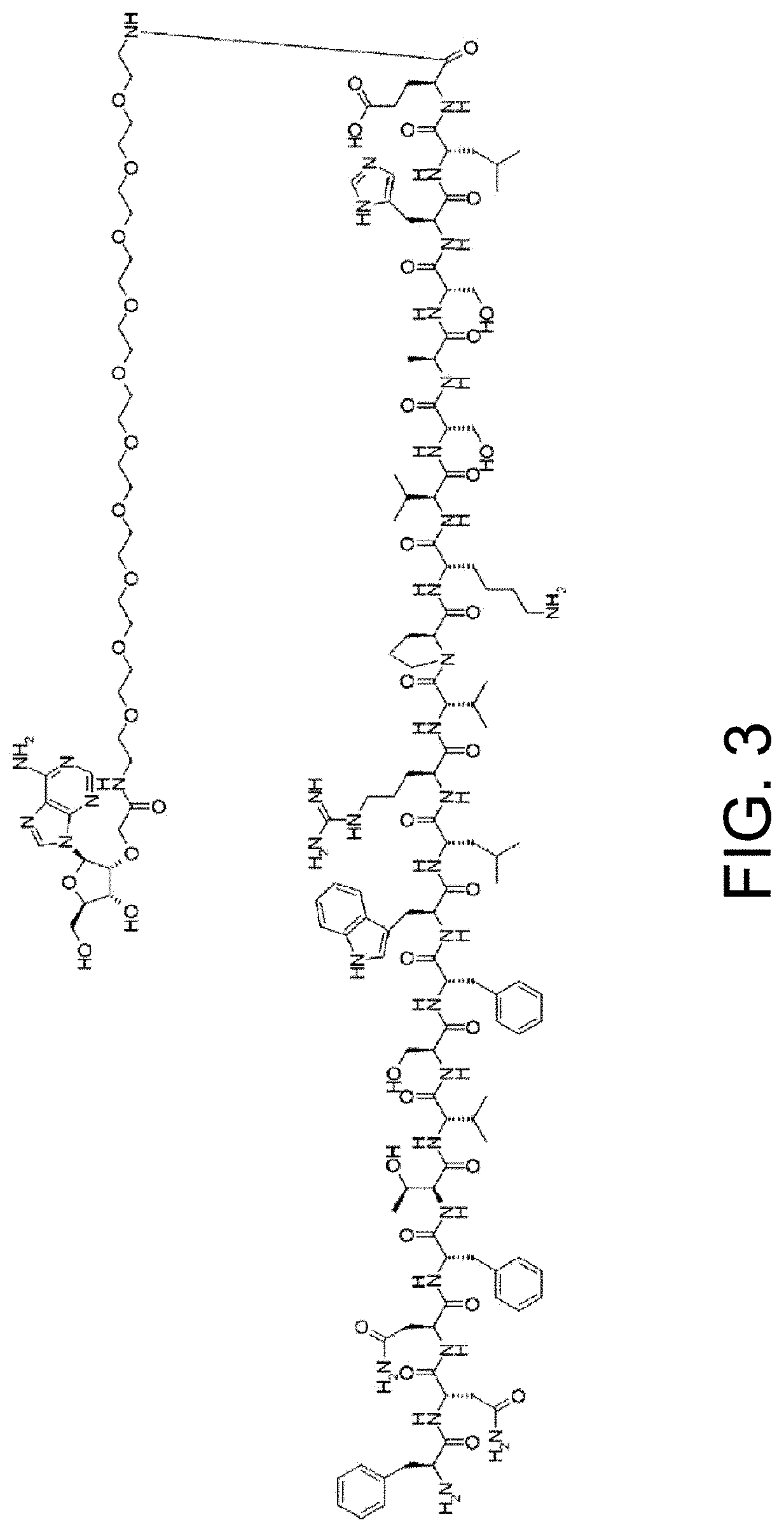 Antigen-binding molecules, the antigen-binding activity of which varies according to the concentration of compounds, and libraries of said molecules