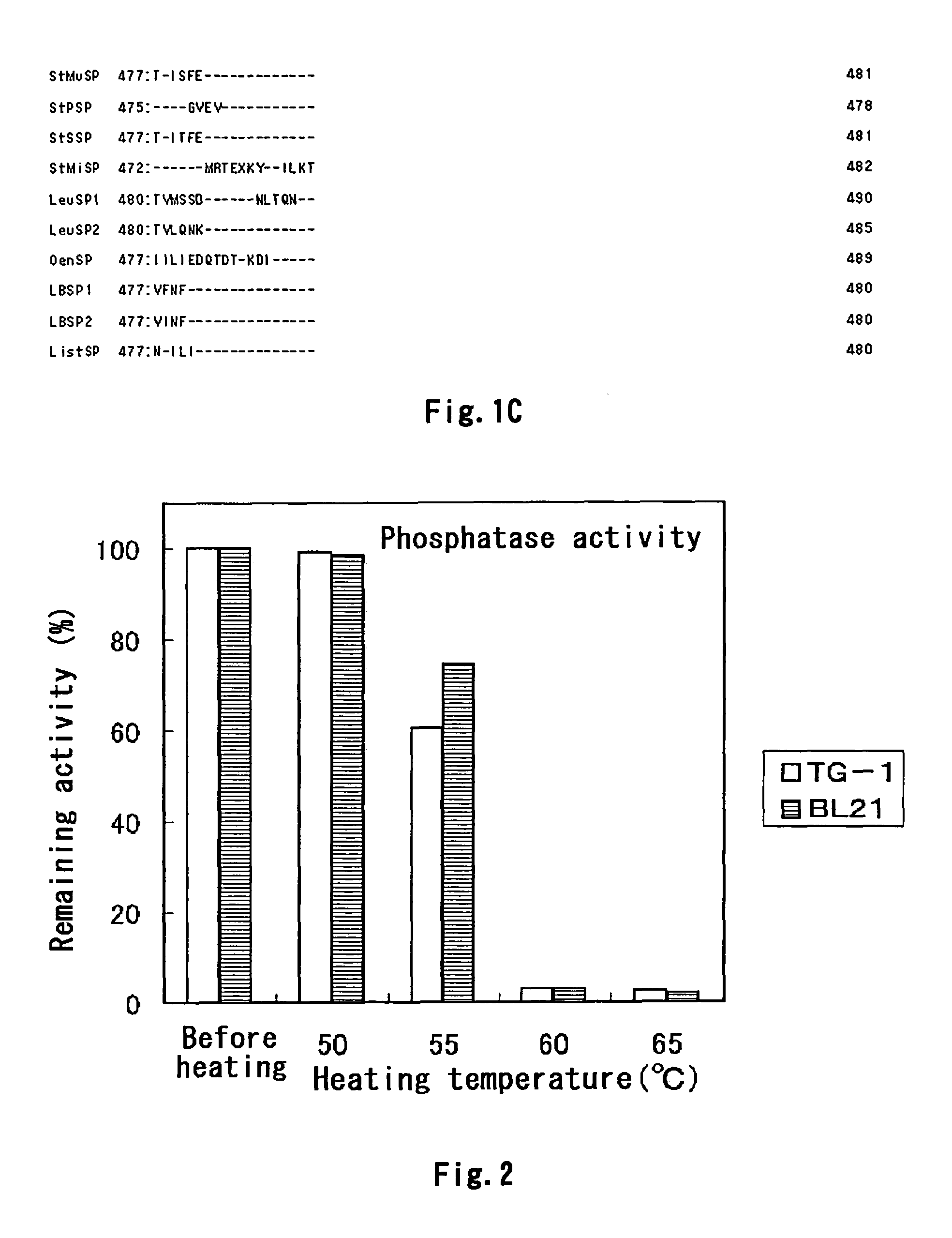 Method for improving the thermostability of sucrose phosphorylase (SP)