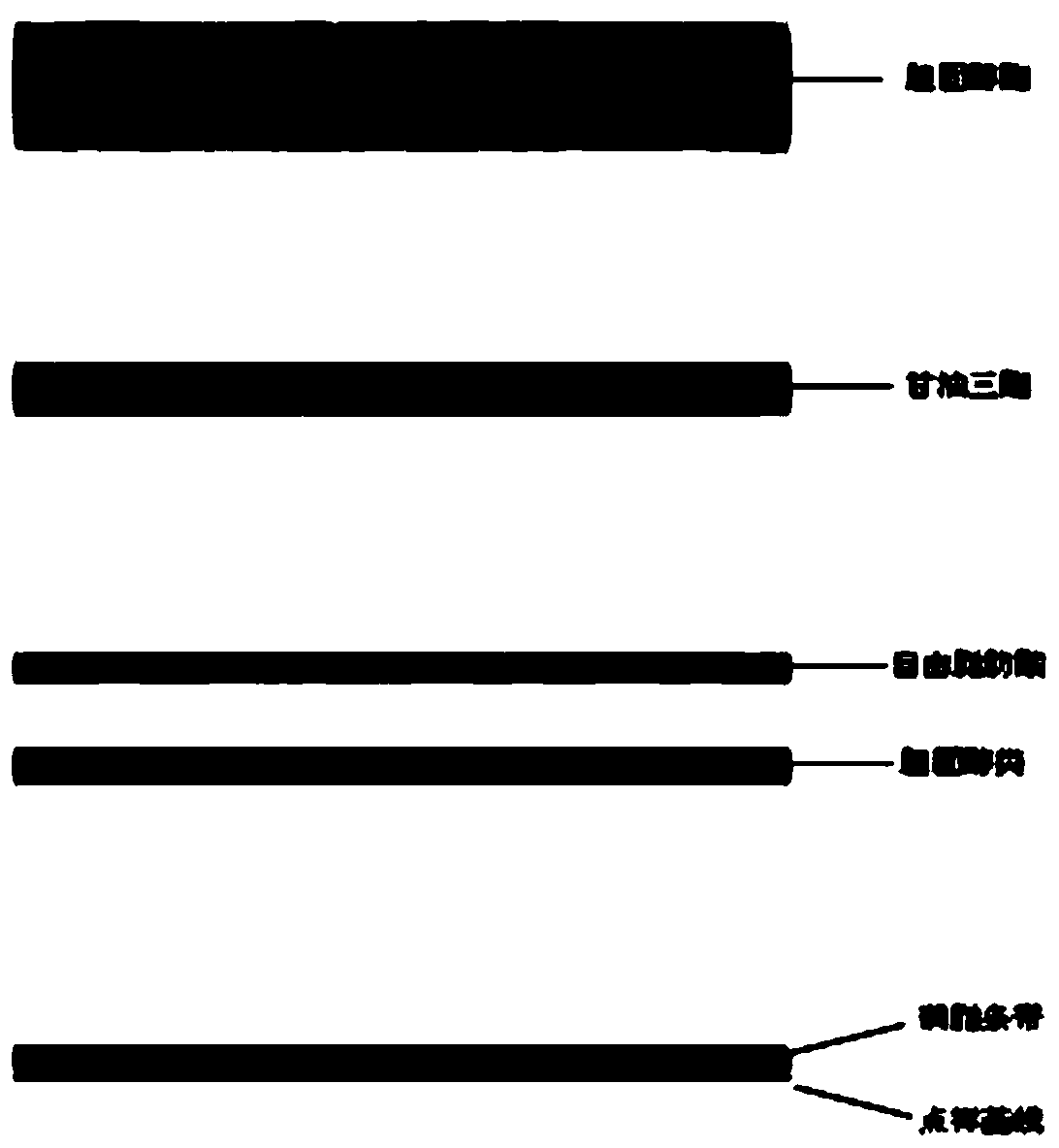 Method for establishing blood correlated fatty acid spectrum