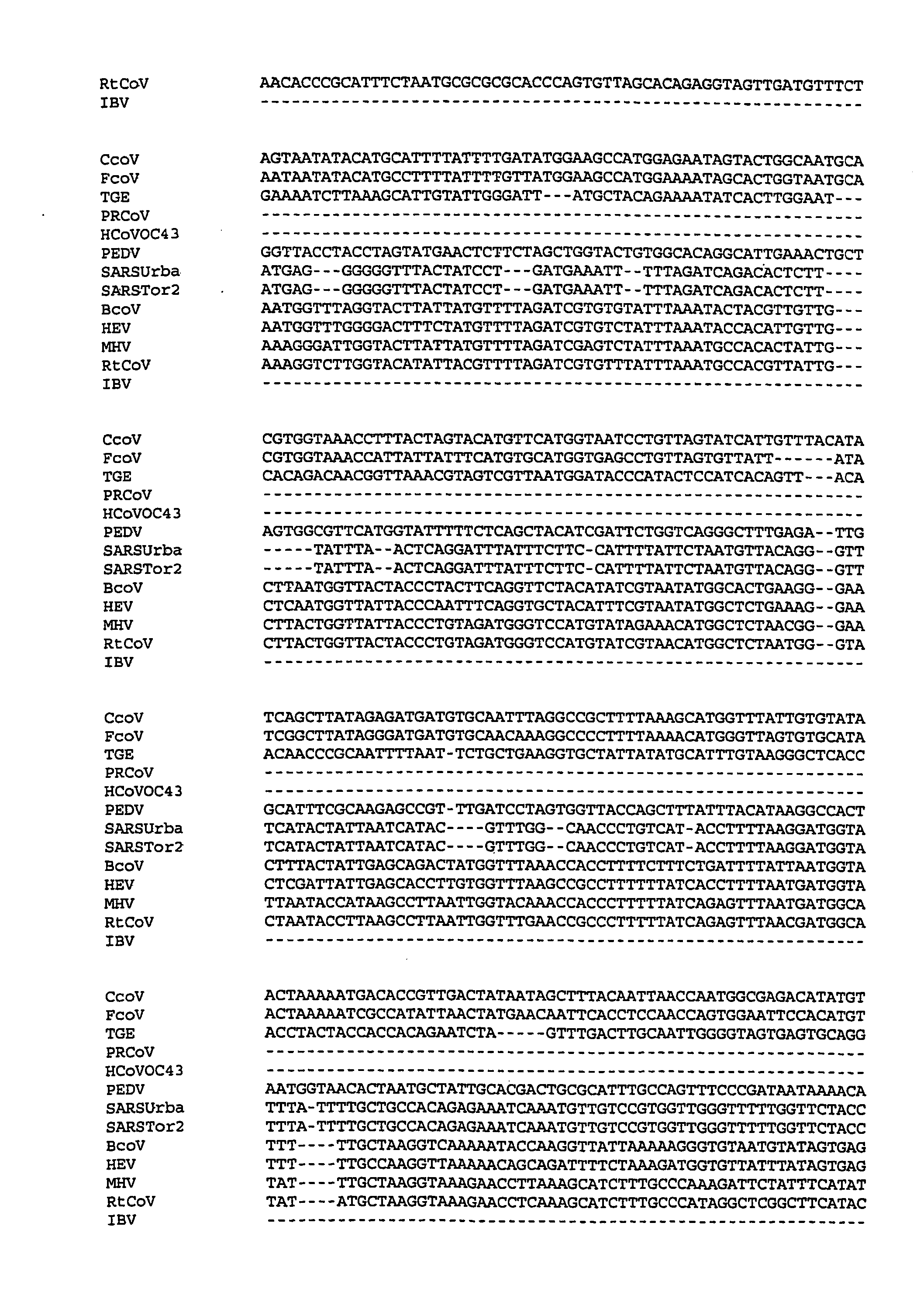 Multi-allelic molecular detection of sars-associated coronavirus