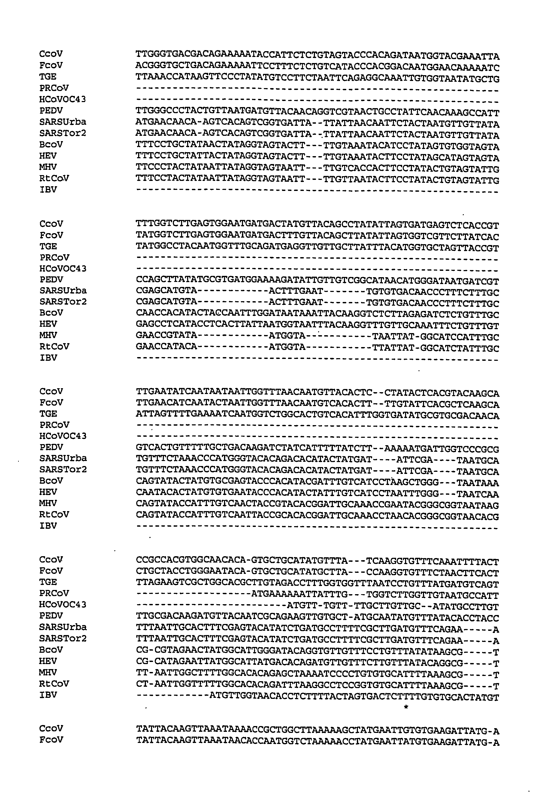 Multi-allelic molecular detection of sars-associated coronavirus