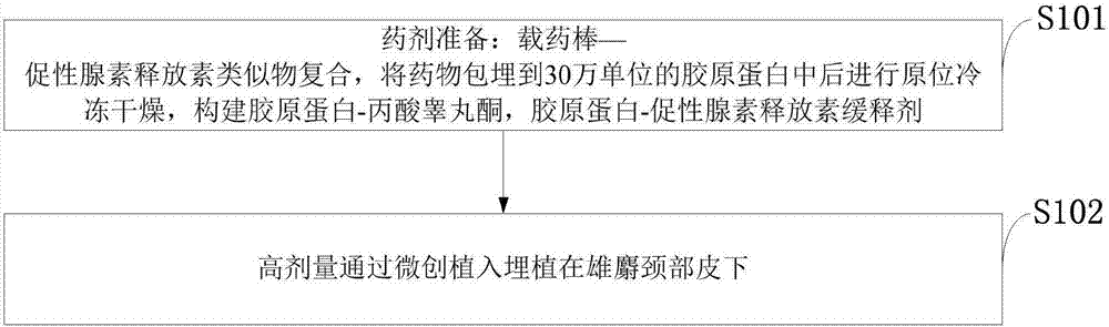 Method for prolonging moschus secretion of old-aged moschus berezovskii