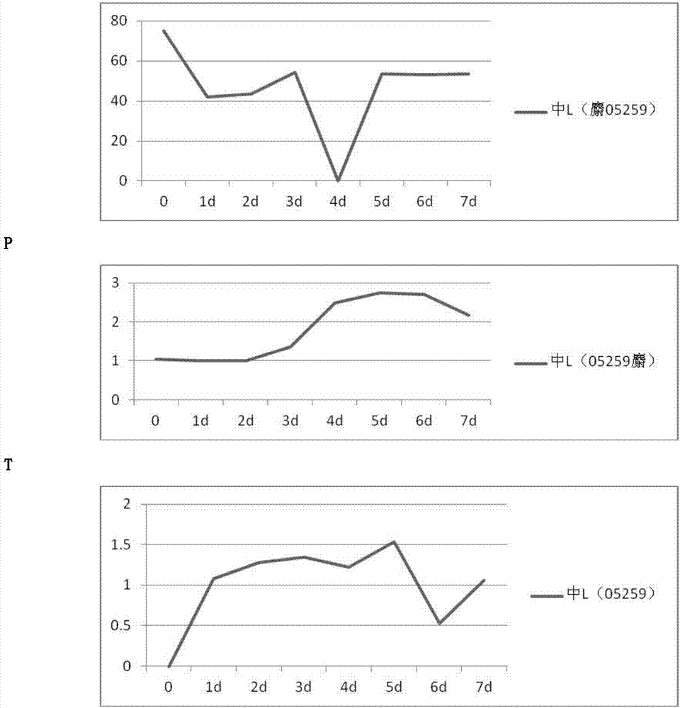 Method for prolonging moschus secretion of old-aged moschus berezovskii