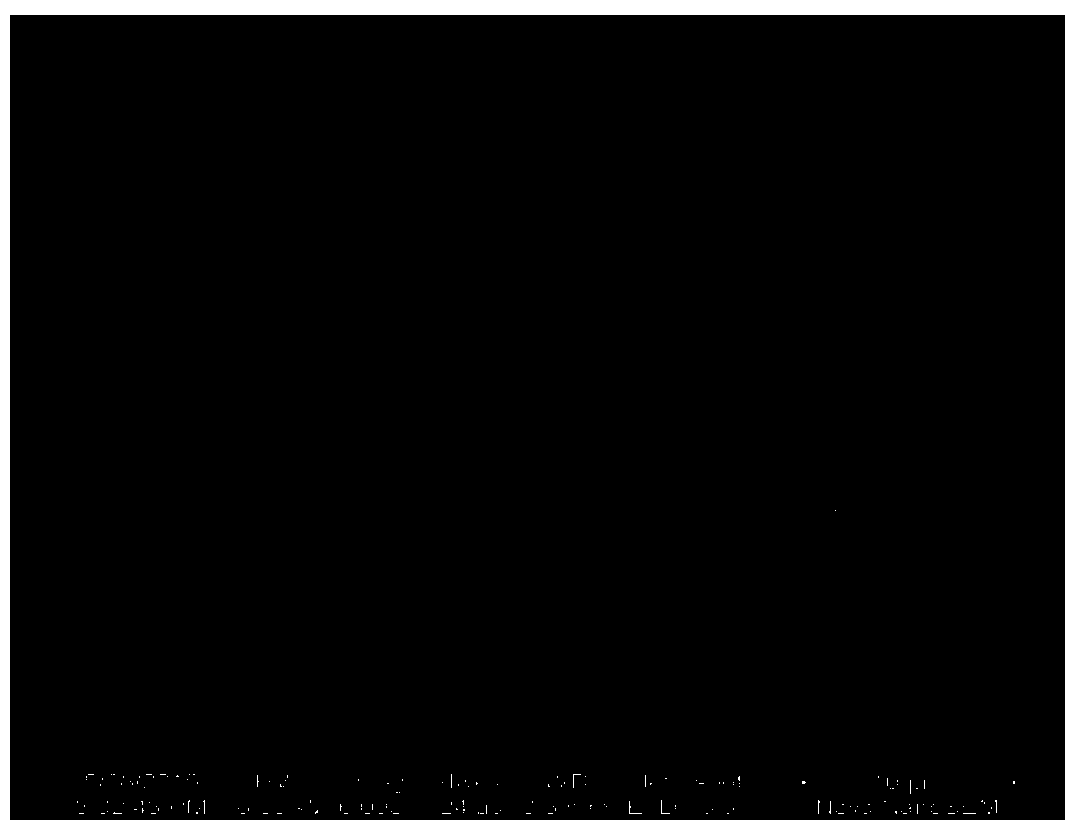 A method of electrodepositing tungsten alloy