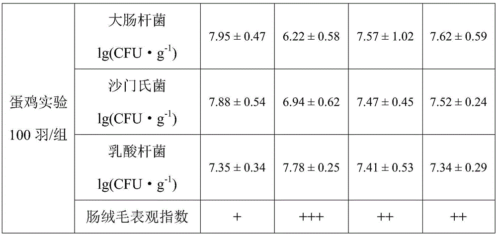 Production method of capsicum and honeysuckle containing feeding antimicrobial agent for laying hens