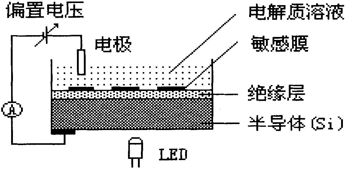 Light addressing molecular imprinting array sensor for distinguishing residual pesticides