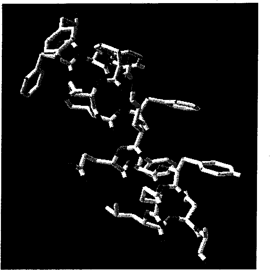 Opioid peptide for source of Alphas1-casein and preparation method thereof