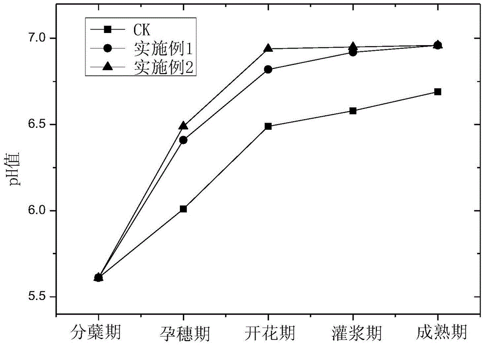 Composite soil conditioner for treating Cd pollution, and preparation and use methods thereof