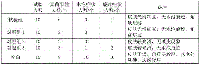 Rosemary foot bath powder and preparation method thereof