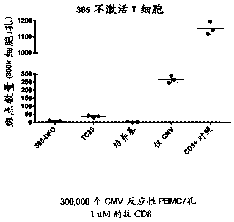 Cd8a-binding fibronectin type iii domains