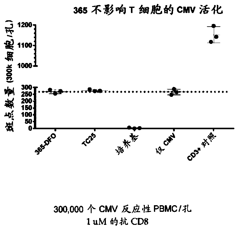 Cd8a-binding fibronectin type iii domains