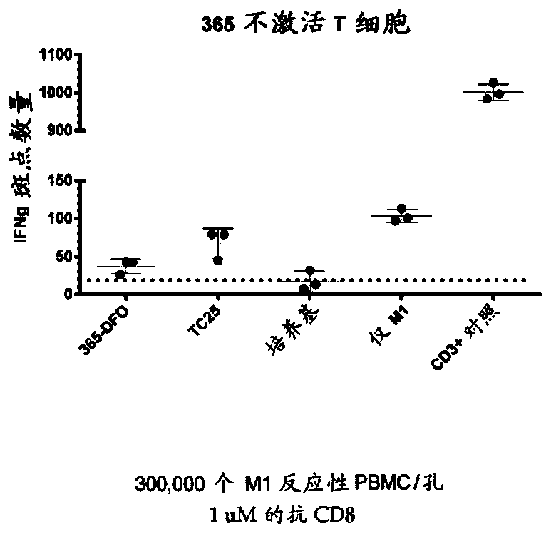 Cd8a-binding fibronectin type iii domains