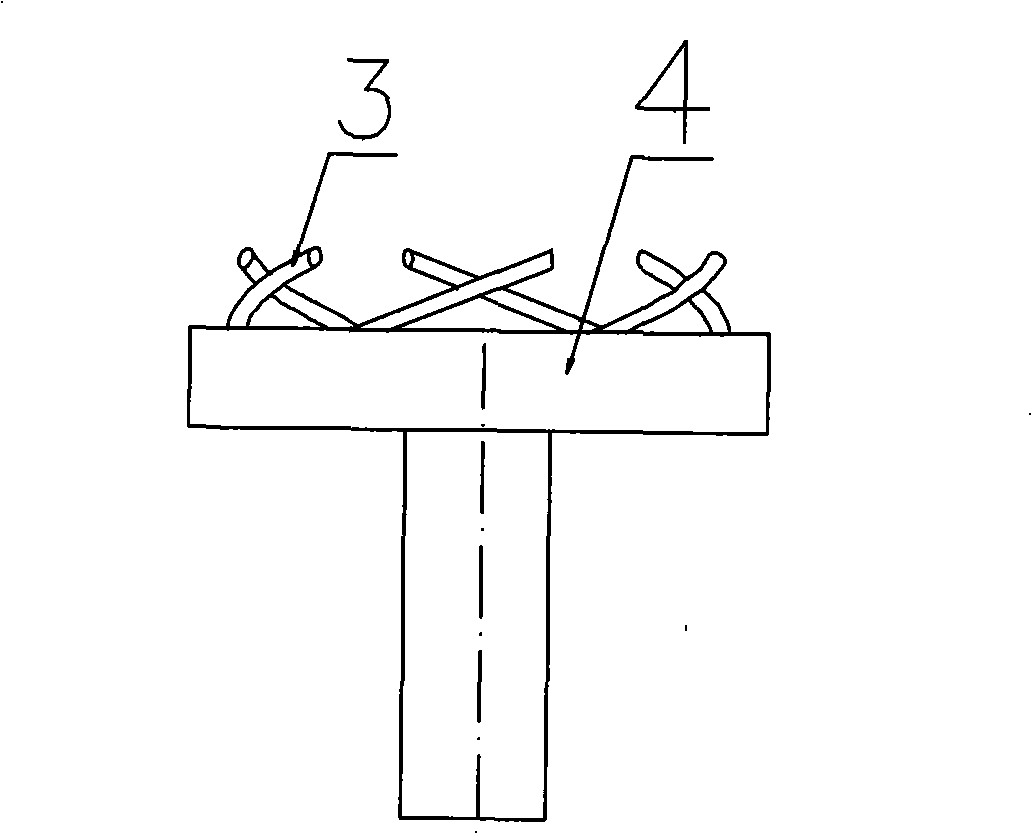 Space curve engagement transmission mechanism