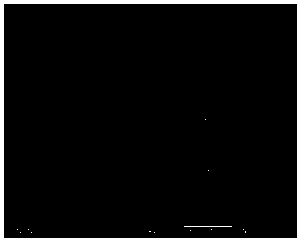 Modified polyamide reverse osmosis membrane with chemically grafted GO (graphene oxide) on surface and preparation method of modified polyamide reverse osmosis membrane