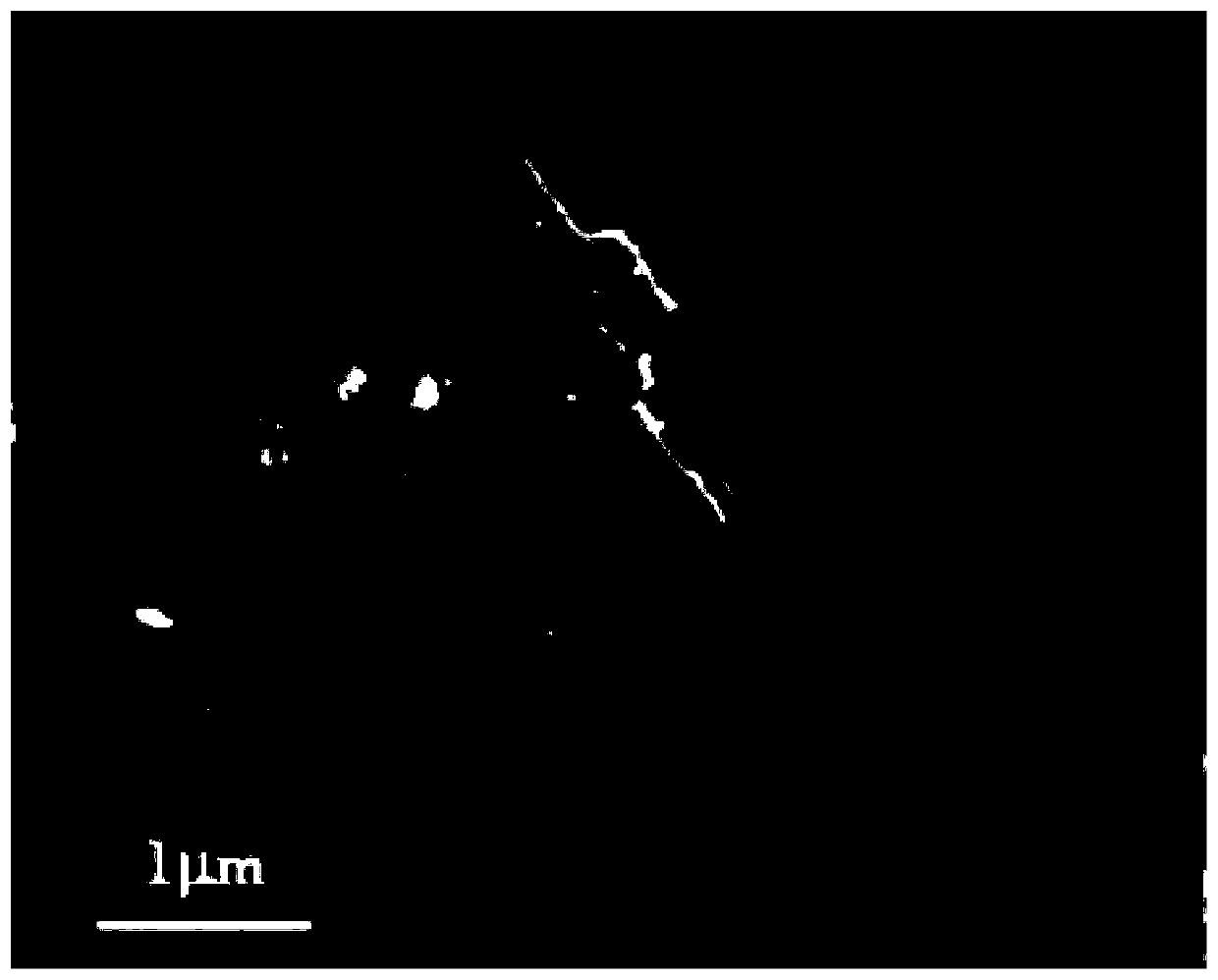 Carbon nanosheet layer loaded TiO2 molecular imprinting material as well as preparation method and application thereof