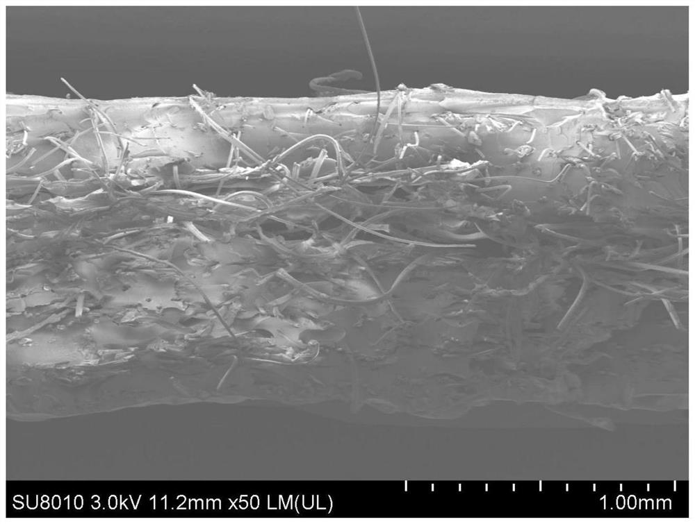 Monopolymer composite material based on planar silkworm cocoons and preparation method of monopolymer composite material