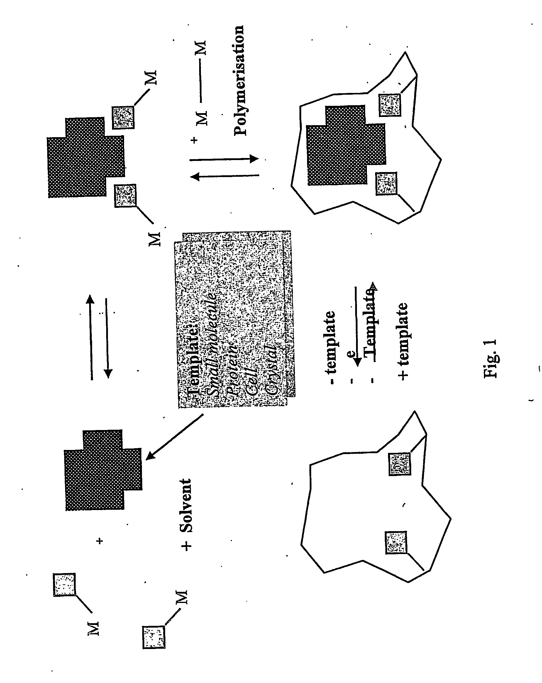 Moleculary imprinted polymers for extraction of components from foodstruffs