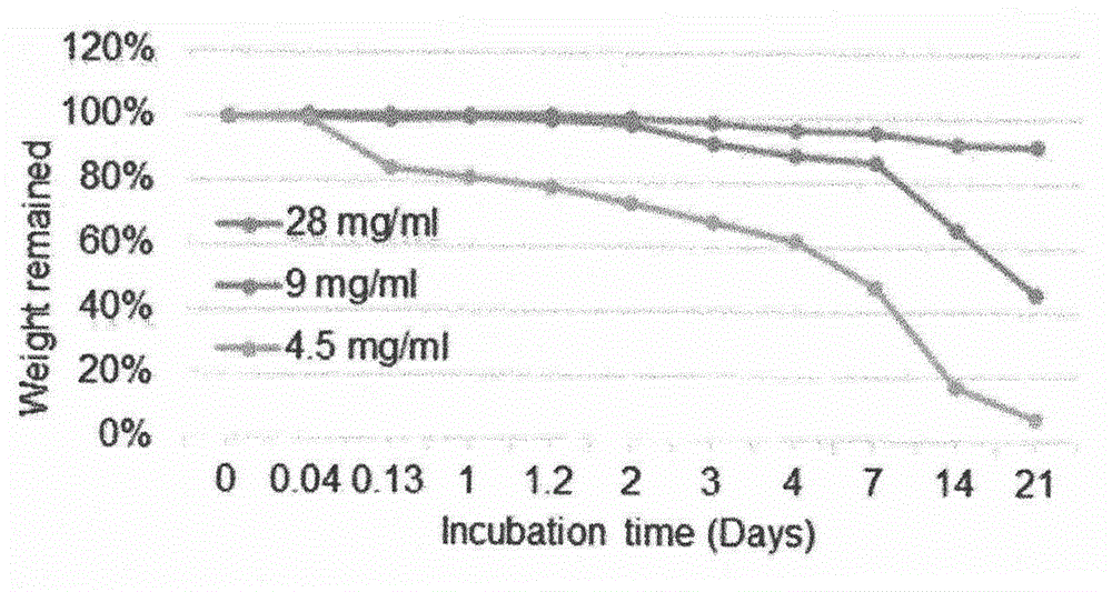 Composition for promoting regeneration of dental pulp and dentin