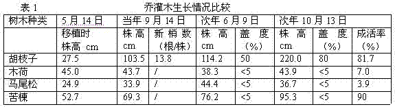 Method for rapidly repairing south metal tailing sand reservoir by using lespedeza container seedlings