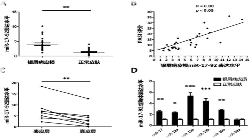 Inhibitor capable of inhibiting excessive proliferation of keratinocytes, inhibitor composition, and applications of inhibitor