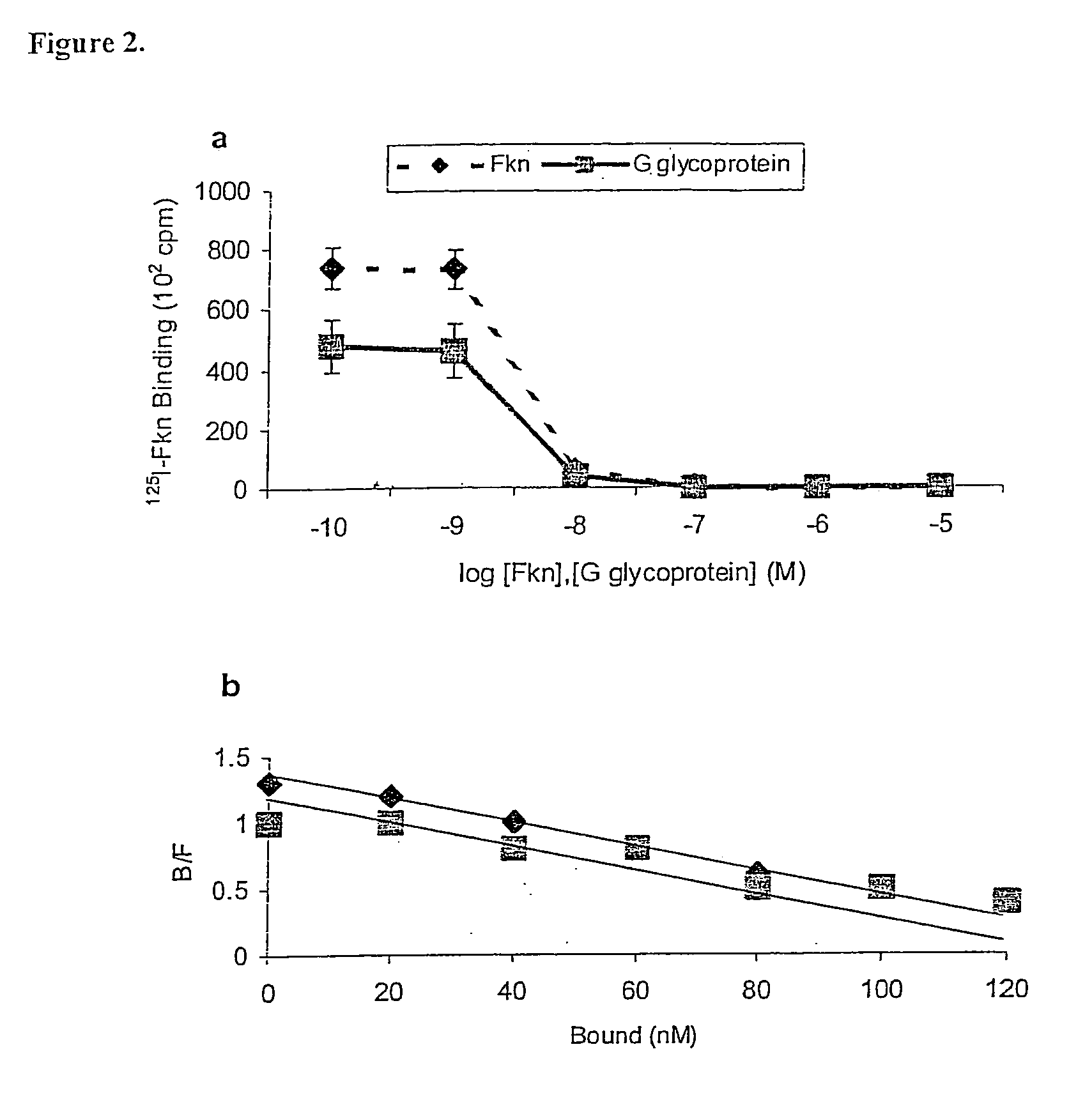 Compositions and methods for modulating RSV infection and immunity