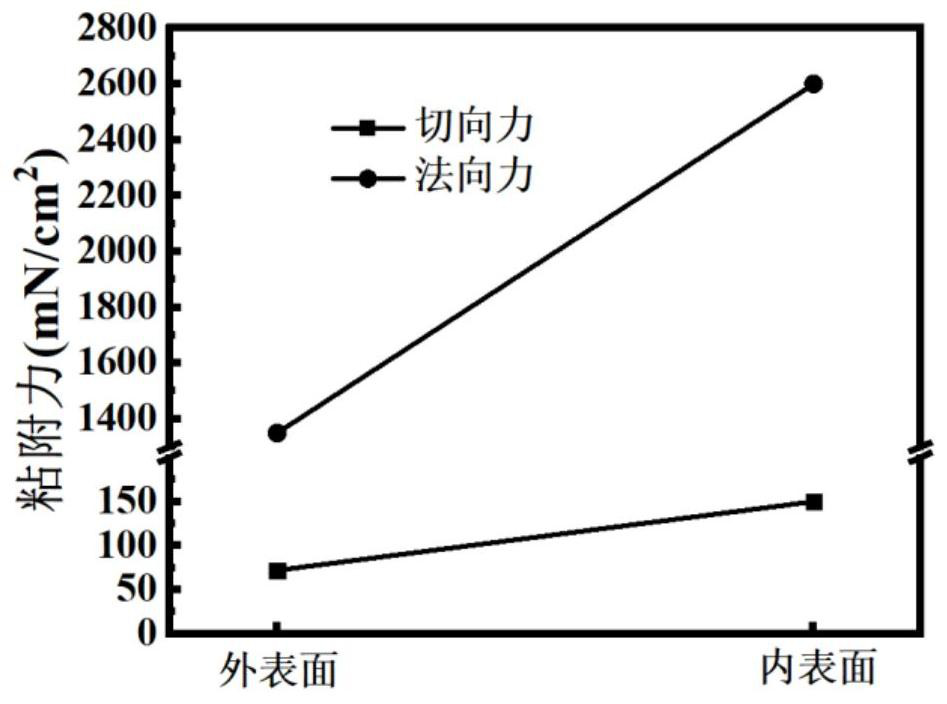 Viscosity-adjustable silica gel scar patch and preparation method thereof