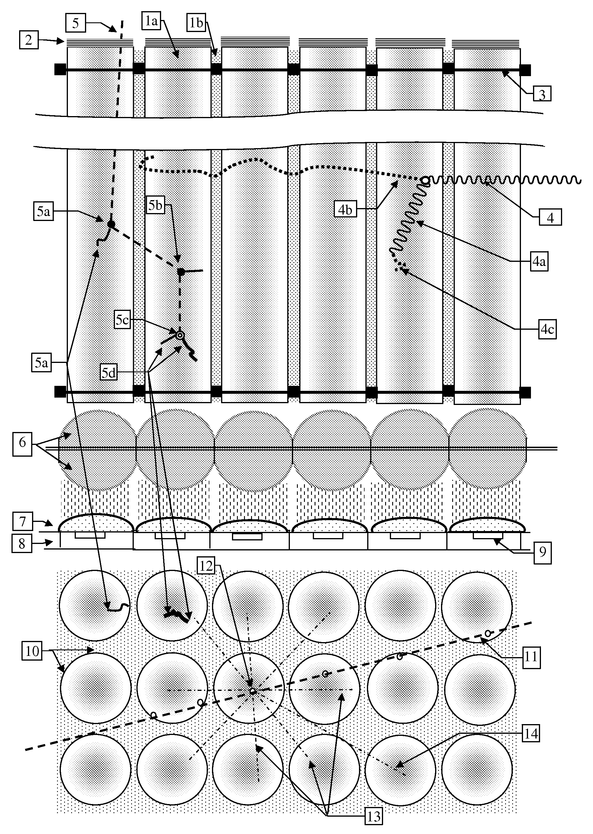 Directional Neutron Detector