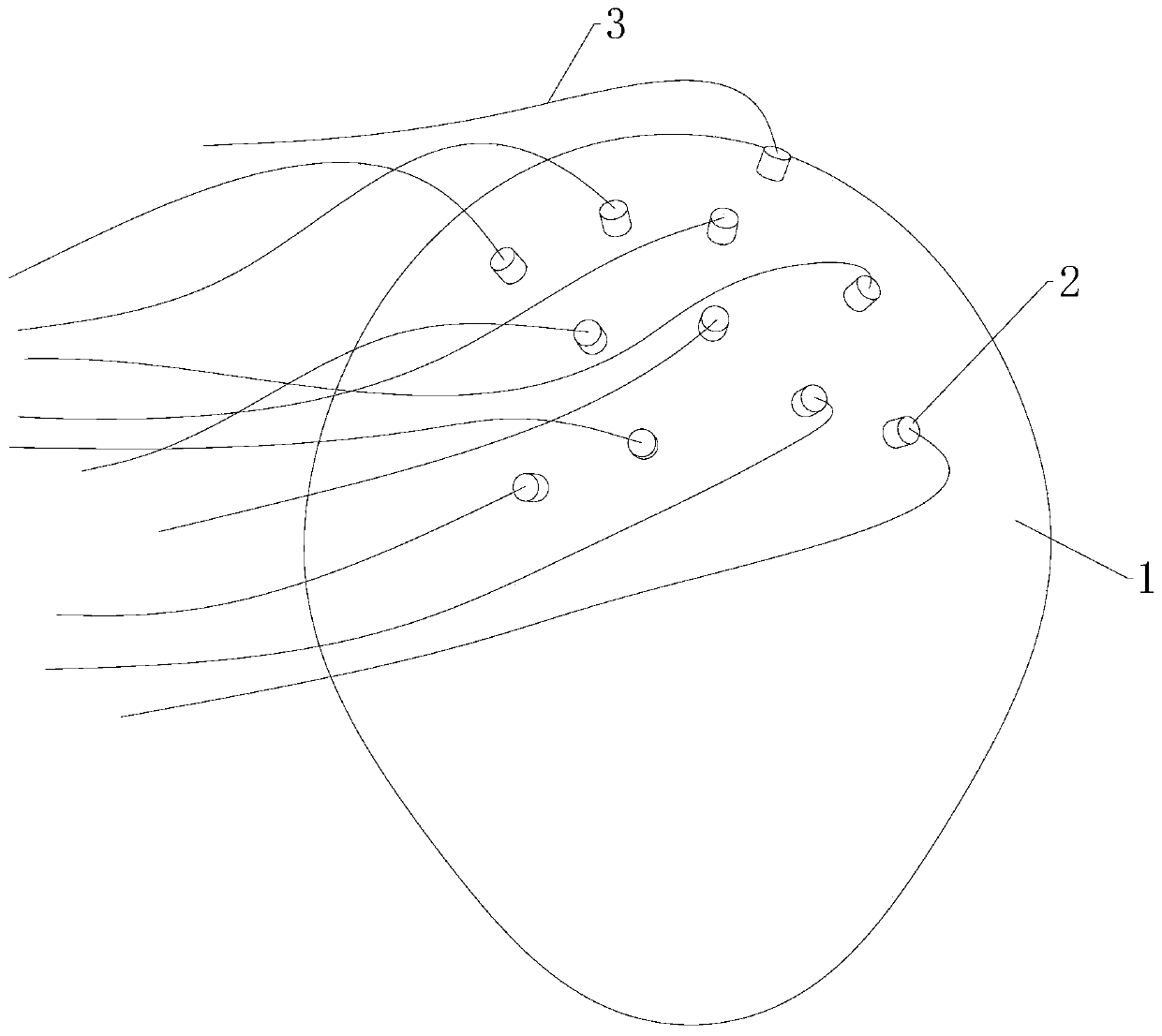 Electroencephalogram monitoring and protection device