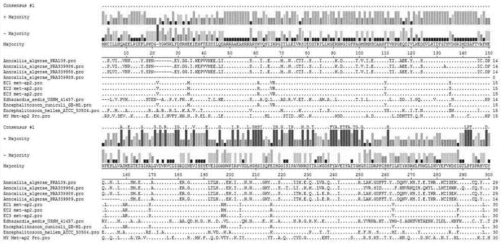 Microsporidia met‑ap2 gene of Bombyx mori and its application