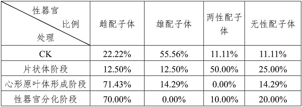 Method for increasing proportion of drynaria roosii female gametophytes