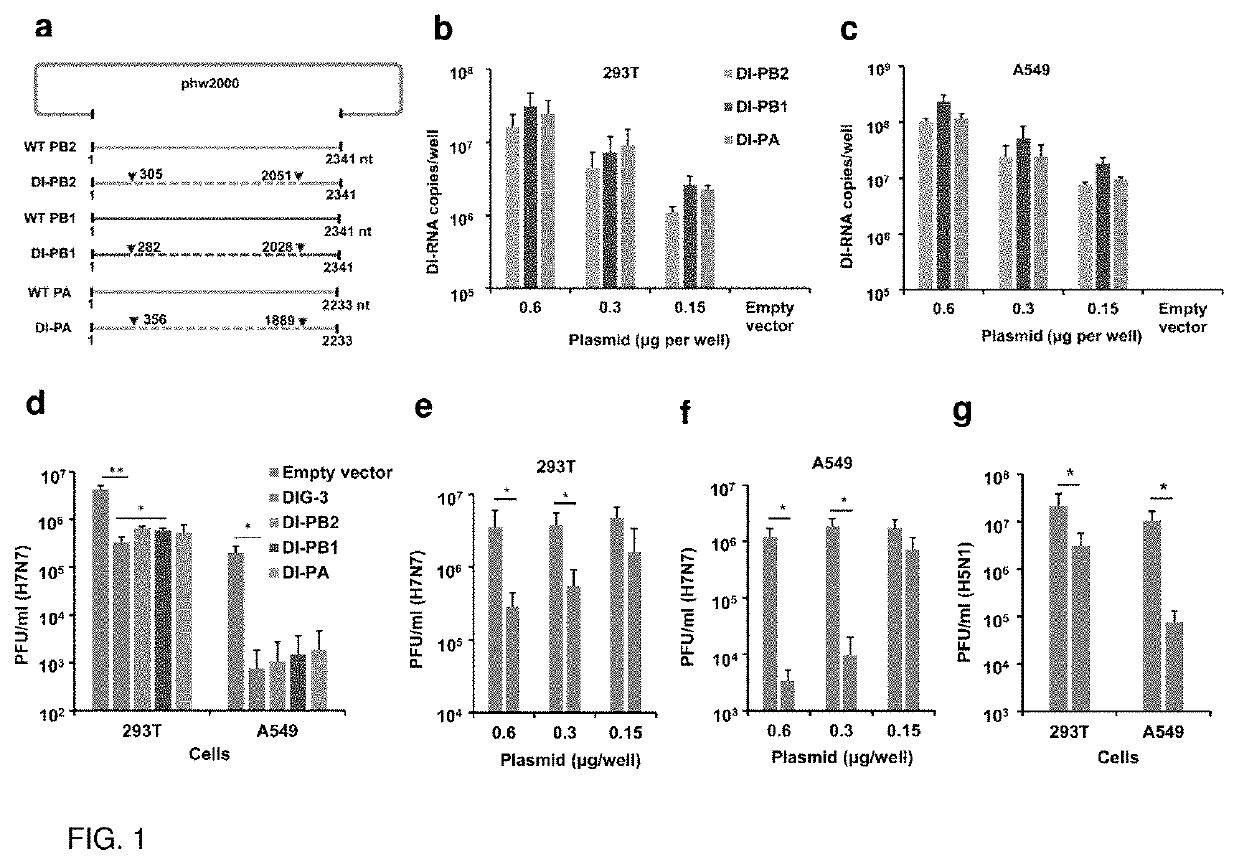 Nucleic acid molecules and dual-functional peptides having antiviral activity and delivery activity, compositions and methods thereof