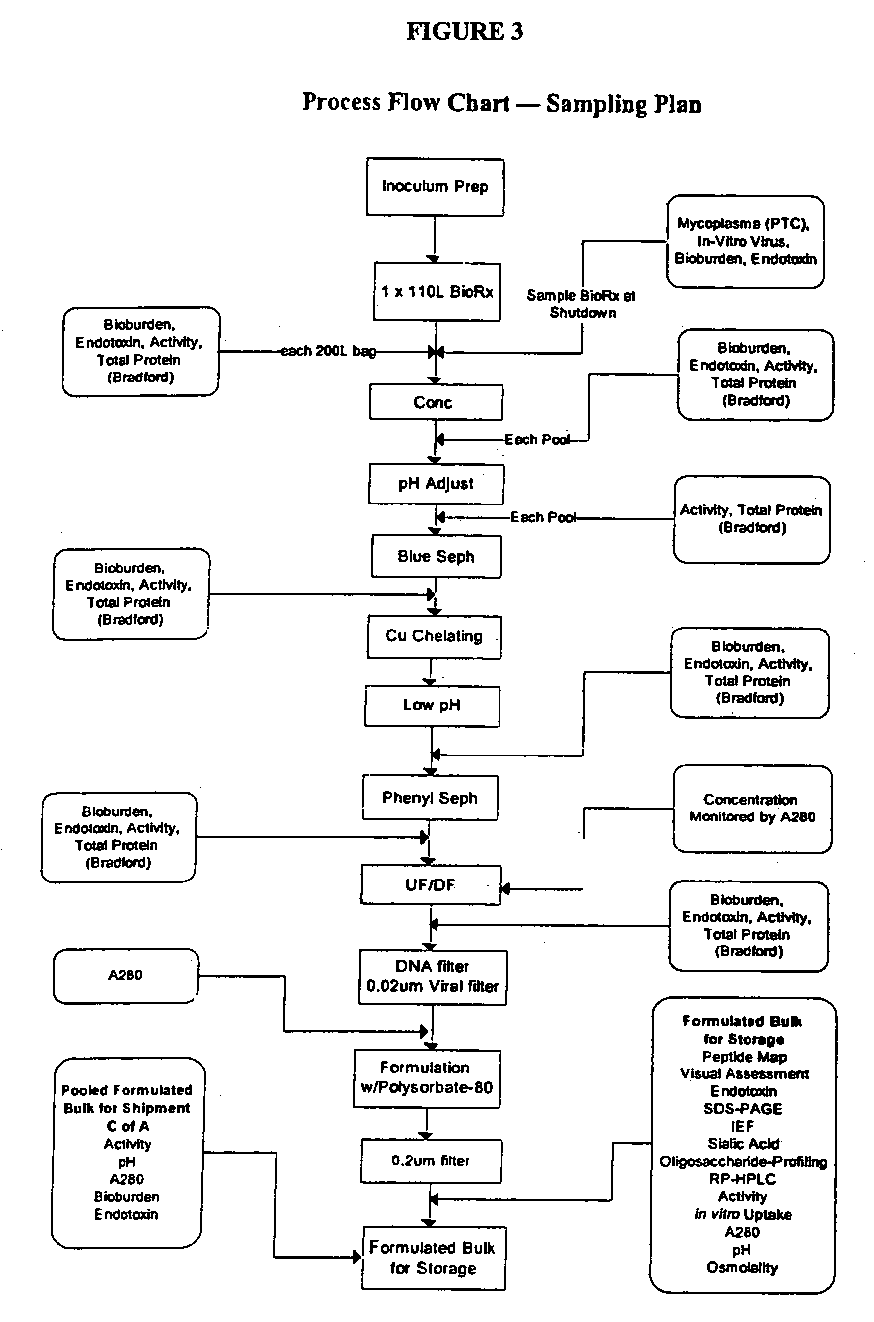 Precursor N-acetylgalactosamine-4 sulfatase, methods of treatment using said enzyme and methods for producing and purifying said enzyme