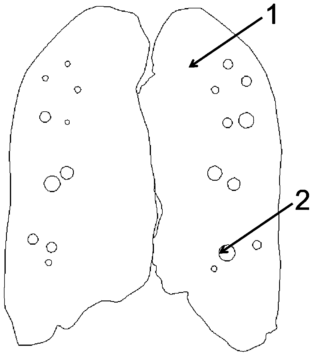 Percutaneous lung puncture model and manufacturing method thereof