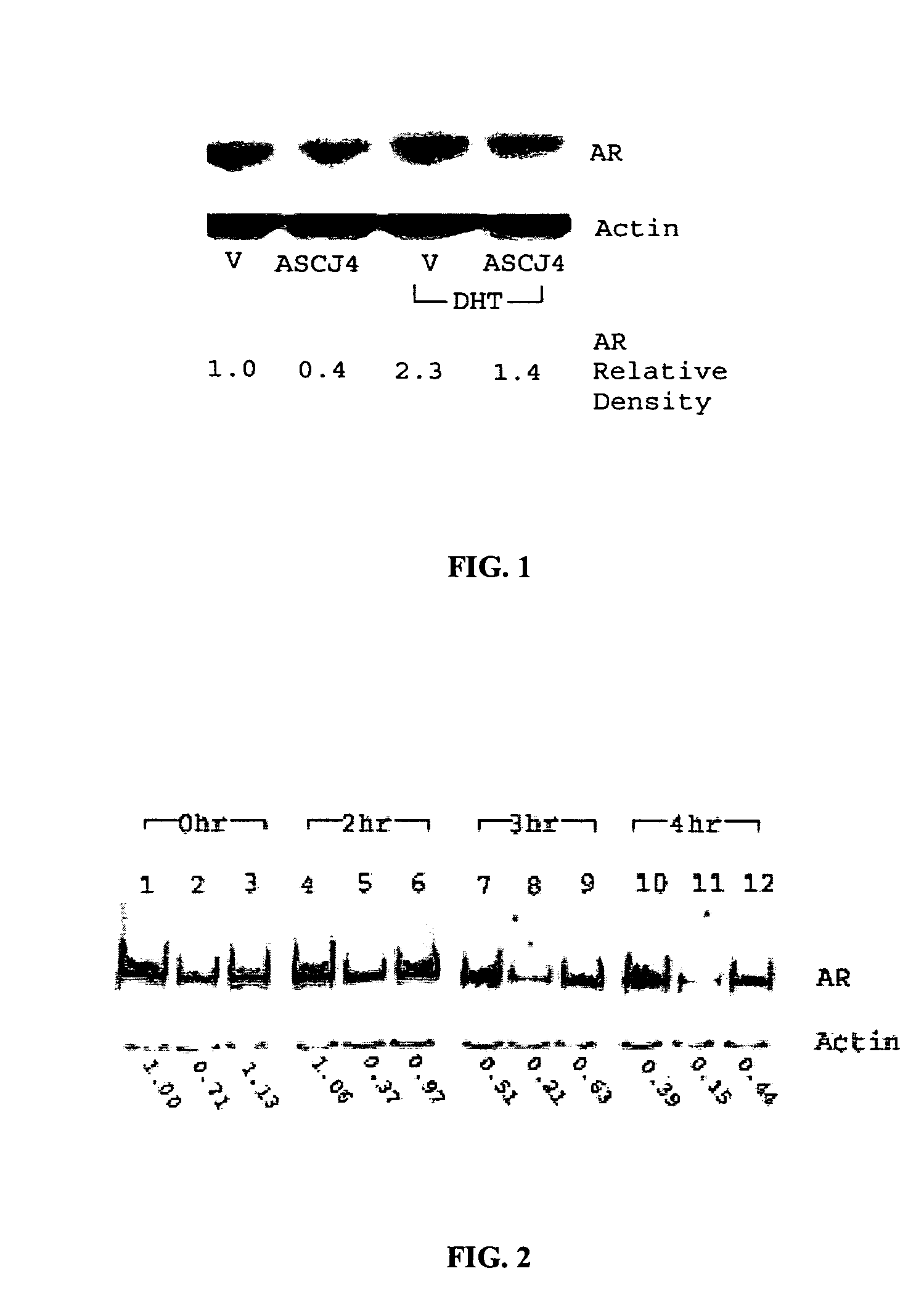 Enhancement of anti-androgenic activity by a combination of inhibitors targeting different steps of a steroid-dependent gene activation pathway and uses thereof