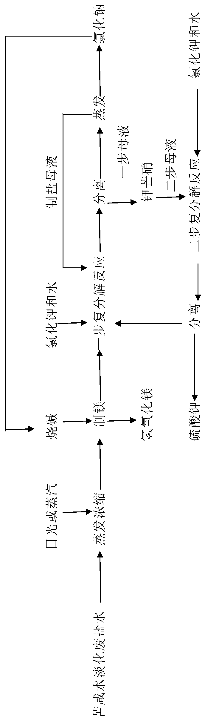 A Circular Economy Process for Co-production of Waste Brine, Magnesium, Potassium, Salt and Alkali from Brackish Water Desalination