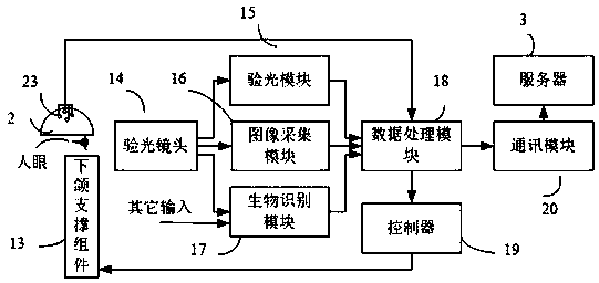 Vision recovery optometry apparatus