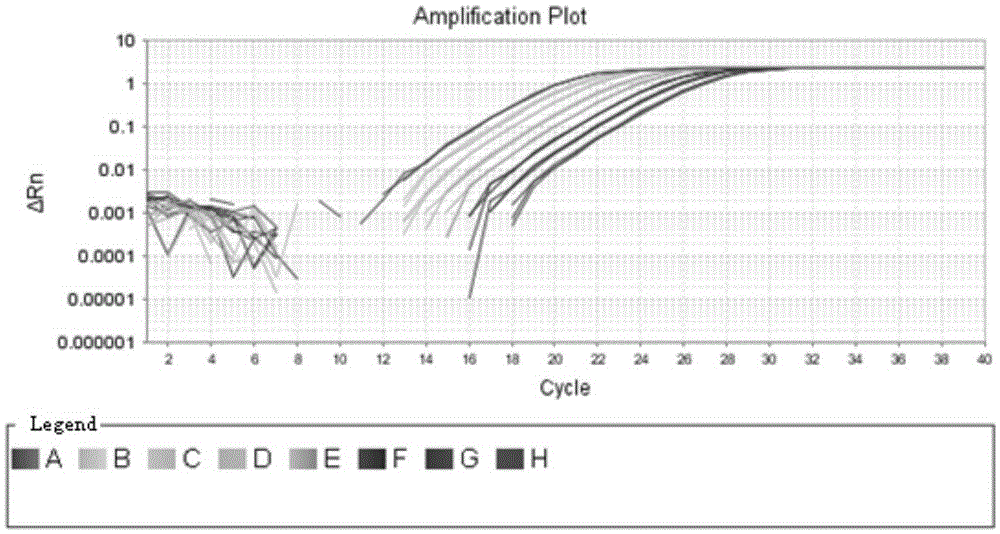 Rapid qualitative and quantitative detection kit for enterococcus faecium in feed as well as detection method and application