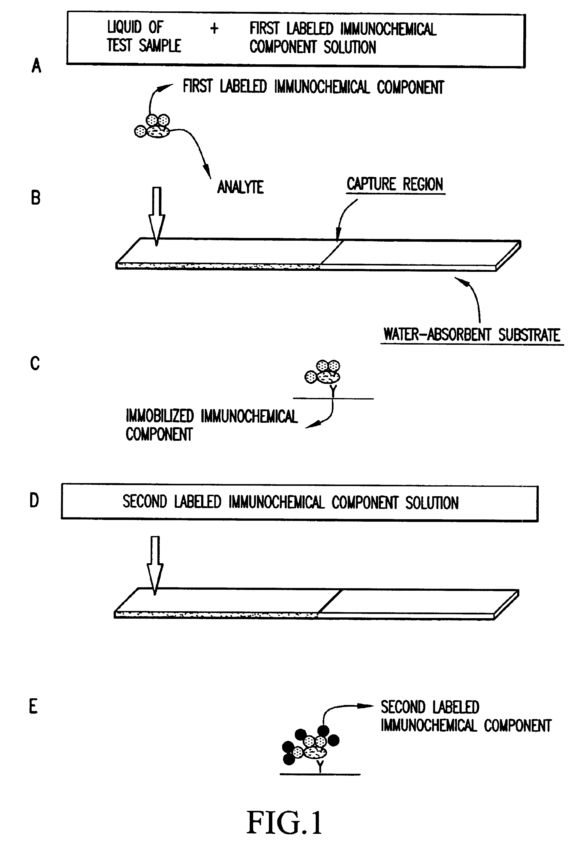 Immunologic test method and immunologic test kit