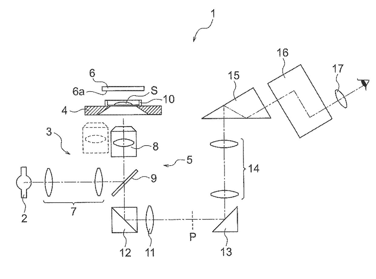 Specimen observation apparatus and specimen observation method