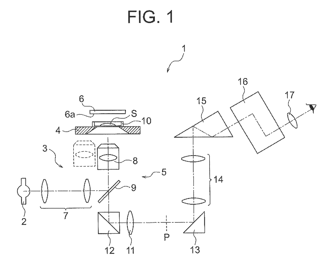 Specimen observation apparatus and specimen observation method