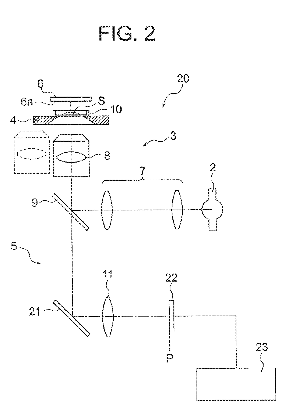 Specimen observation apparatus and specimen observation method