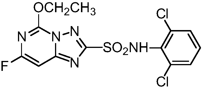 Weed control composition containing diclosulam and metribuzin